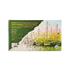 Art Liva Sanatsal Resim Defteri Multi Teknik 20 Sayfa 35X50 120Gr