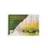 Art Liva Sanatsal Resim Defteri Multi Teknik 20 Sayfa 25X35 120Gr
