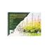 Art Liva Sanatsal Resim Defteri Multi Teknik 20 Sayfa 25X35 200Gr