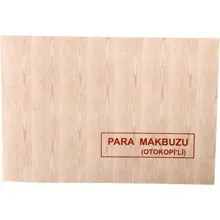 Dilman Para Makbuzu Otokopili 2X50 Sayfa