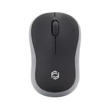 Frisby Fm-272Wm Kablosuz Optik  Mini Nano Alıcı Kablosuz Mouse