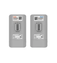 Ruıjıe Reyee Rg-Est310 Outdoor 867 Mbps 5 Ghz 2Li Paket Noktadan Noktaya Dış Mekan Access Point